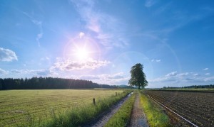 Semplificazione ambientale: con la nuova AUA basta un'unica domanda da inviare tramite web