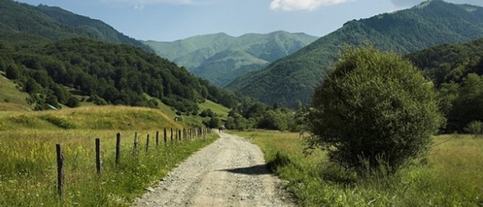 bosco-vincolo-paesaggistico-regione-definizione-trovi