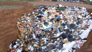 I conferimenti diretti in discarica del rifiuto urbano residuo: la nuova disciplina del “collegato ambientale” (l. 28 dicembre 2015, n. 221)