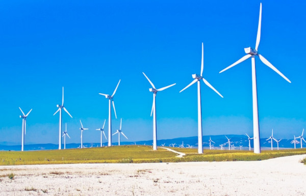 Impianti eolici: divieto assoluto di localizzarli nelle ZSC e nelle ZPS