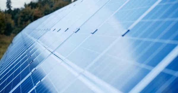 Consiglio di Stato: gli impianti agrovoltaici non sono assimilabili agli impianti fotovoltaici
