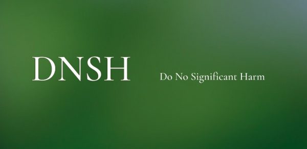 Il MEF aggiorna la guida operativa per il DNSH: un altro grande passo verso la transizione green