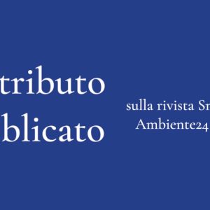 Danno ambientale: prevenzione e ripristino, rapporto tra la bonifica dei siti contaminati e interventi di cui al titolo sesto del d.lgs. 152/2006