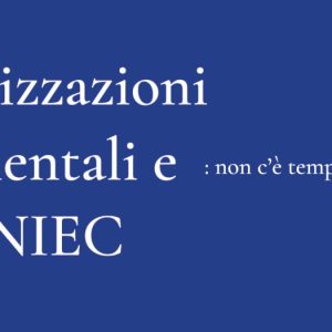 Autorizzazioni ambientali e PNIEC: non c’è tempo da perdere