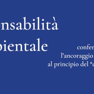 Responsabilità ambientale: confermato l’ancoraggio del sistema al principio del “chi inquina paga”. Ma la legislazione è allineata?